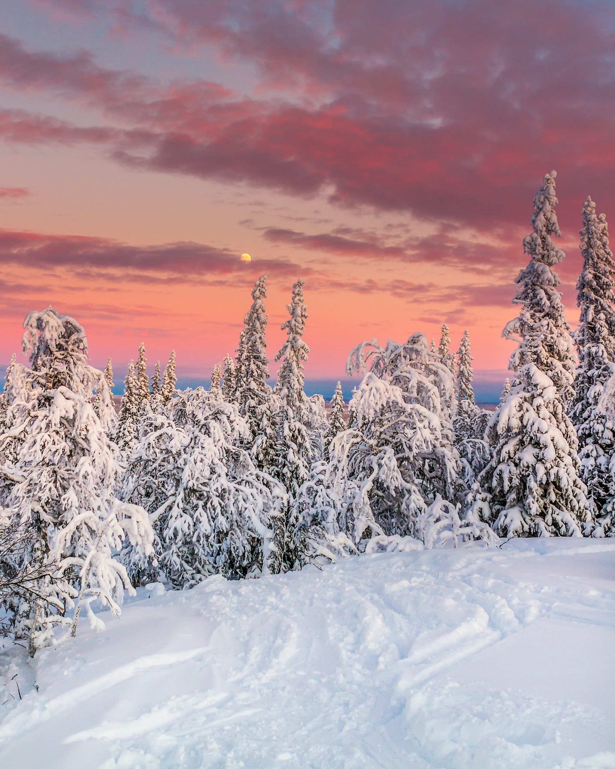 Åre-mostphotos Dator med en konferens